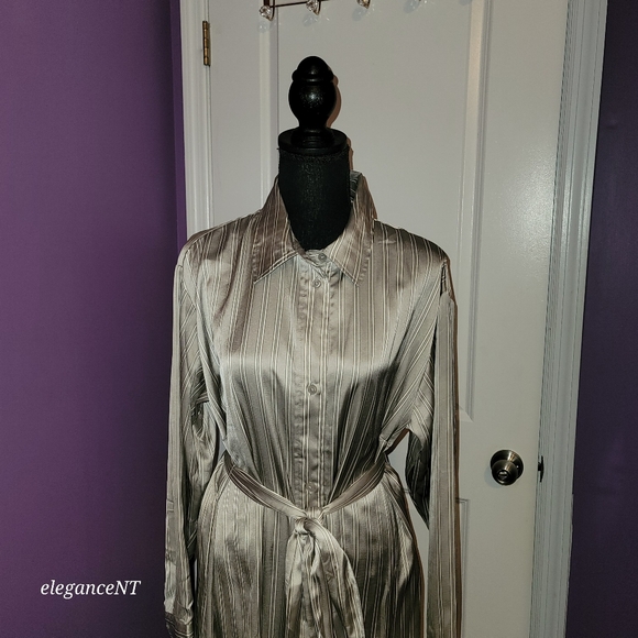 H & M Silver Striped Long Sleeve Button Down Dress Sz: L NWT - Picture 4 of 10